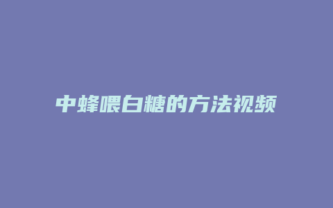 中蜂喂白糖的方法视频