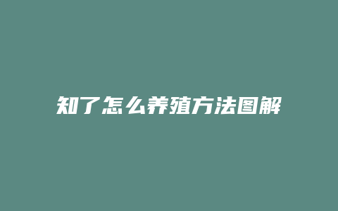 知了怎么养殖方法图解