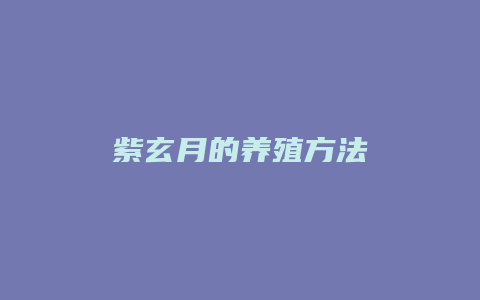 紫玄月的养殖方法