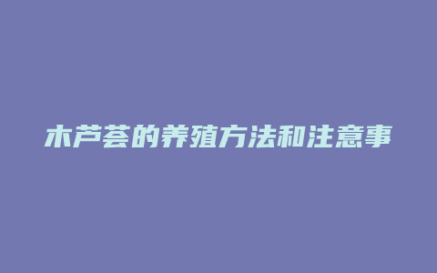 木芦荟的养殖方法和注意事项