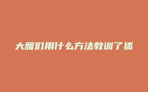 大雁们用什么方法教训了狐狸