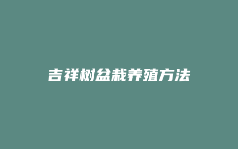 吉祥树盆栽养殖方法