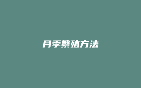 月季繁殖方法