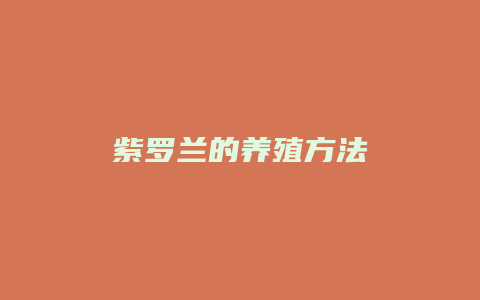 紫罗兰的养殖方法