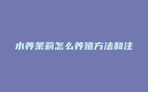 水养茉莉怎么养殖方法和注意事项