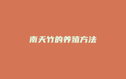 南天竹的养殖方法