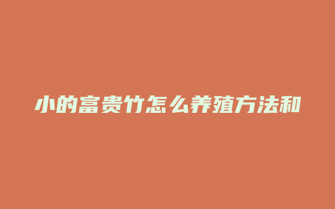 小的富贵竹怎么养殖方法和注意事项