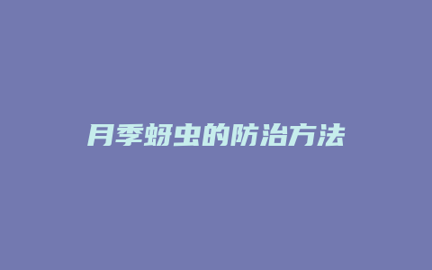 月季蚜虫的防治方法