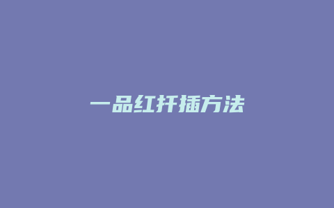 一品红扦插方法