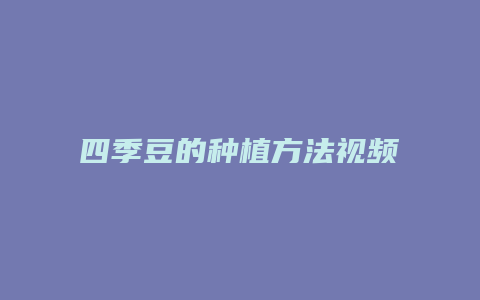 四季豆的种植方法视频