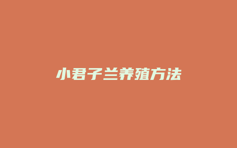 小君子兰养殖方法