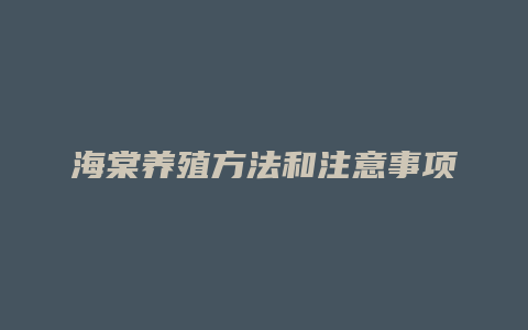 海棠养殖方法和注意事项