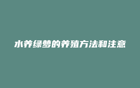 水养绿萝的养殖方法和注意事项