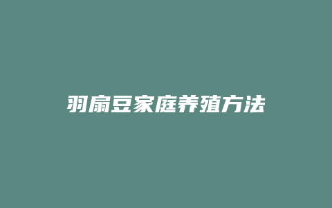 羽扇豆家庭养殖方法