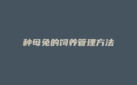 种母兔的饲养管理方法