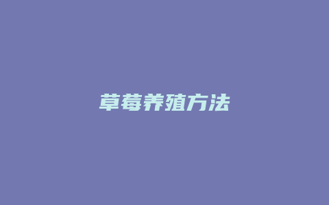 草莓养殖方法