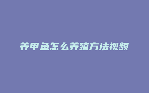 养甲鱼怎么养殖方法视频