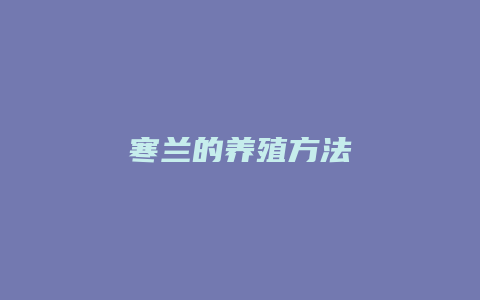 寒兰的养殖方法