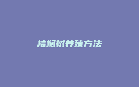 棕榈树养殖方法