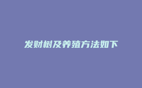 发财树及养殖方法如下