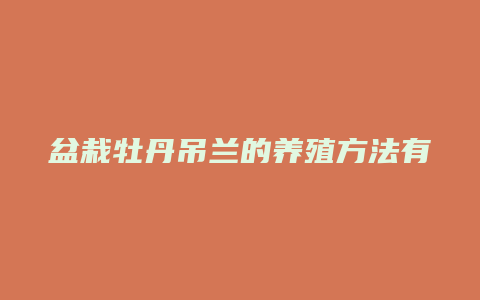 盆栽牡丹吊兰的养殖方法有哪些