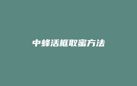 中蜂活框取蜜方法