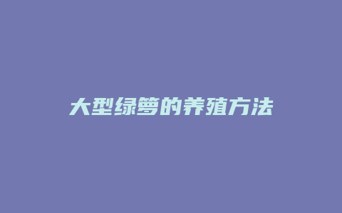 大型绿箩的养殖方法