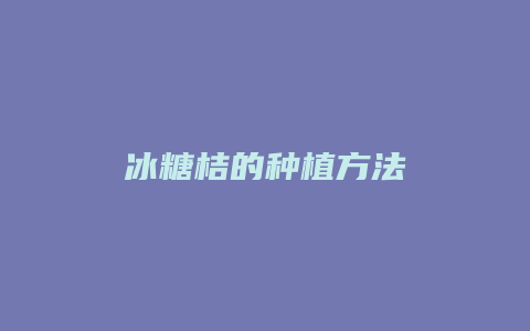 冰糖桔的种植方法