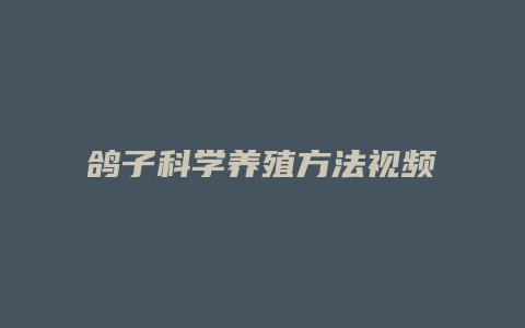 鸽子科学养殖方法视频