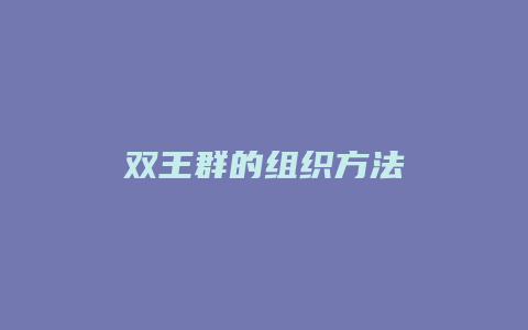 双王群的组织方法