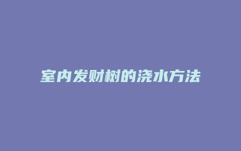 室内发财树的浇水方法