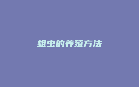 蛆虫的养殖方法