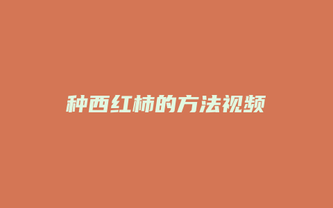 种西红柿的方法视频