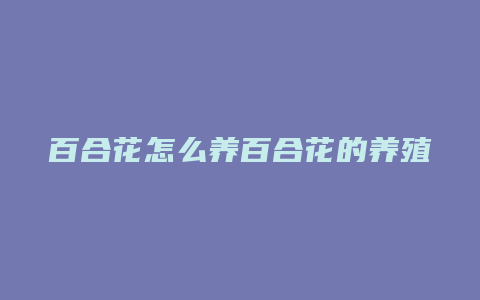 百合花怎么养百合花的养殖方法和注意事项