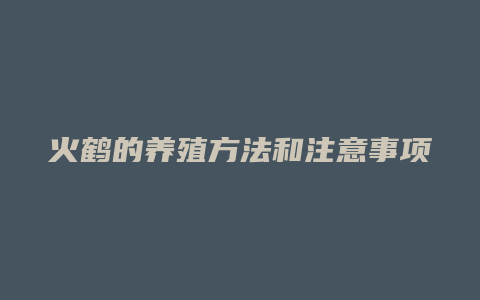 火鹤的养殖方法和注意事项