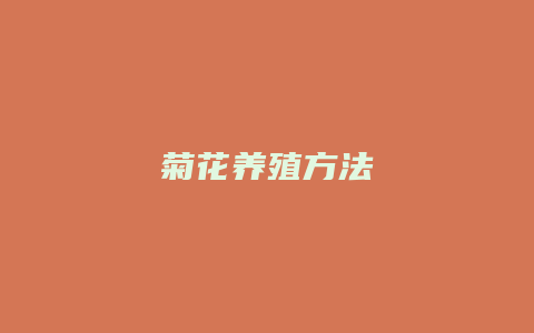 菊花养殖方法