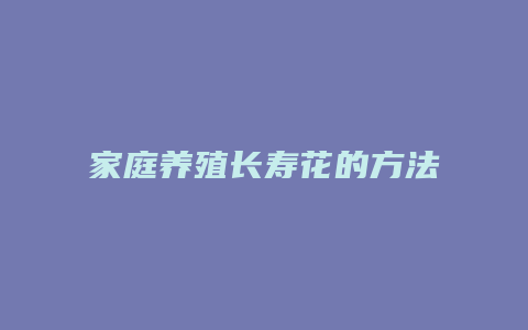 家庭养殖长寿花的方法