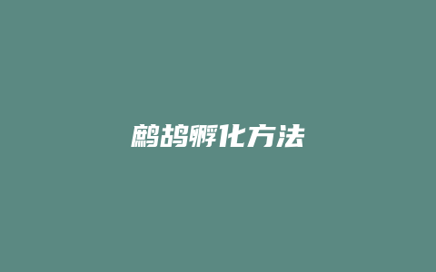 鹧鸪孵化方法