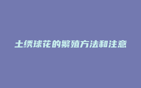 土绣球花的繁殖方法和注意事项