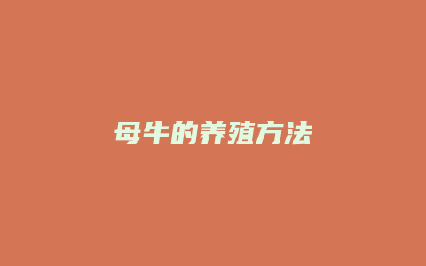 母牛的养殖方法