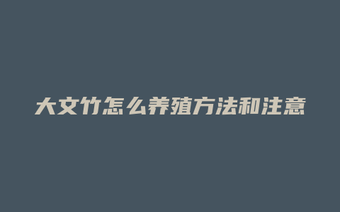 大文竹怎么养殖方法和注意事项