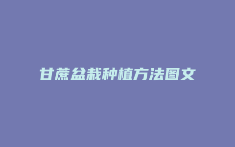 甘蔗盆栽种植方法图文