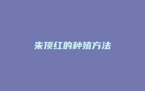 朱顶红的种殖方法