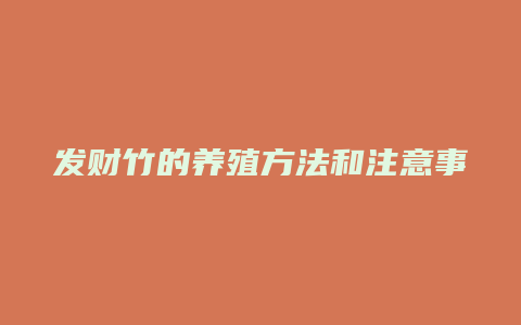 发财竹的养殖方法和注意事项