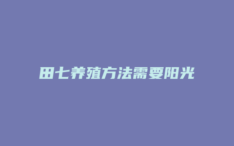 田七养殖方法需要阳光