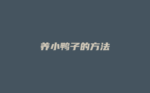 养小鸭子的方法