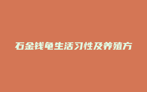 石金钱龟生活习性及养殖方法