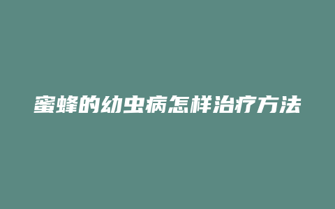 蜜蜂的幼虫病怎样治疗方法