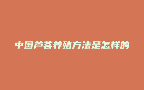 中国芦荟养殖方法是怎样的