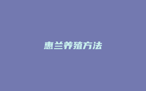 惠兰养殖方法